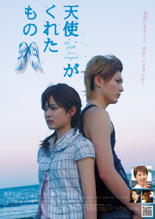 Movie poster for The Gift from Heaven (2007)