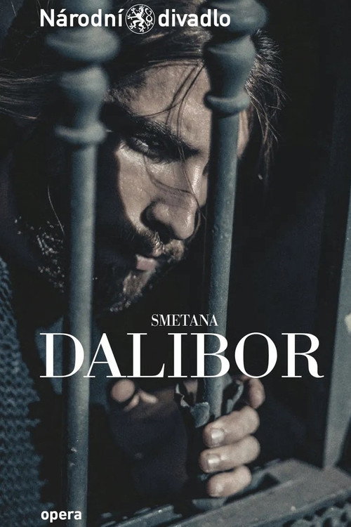 Movie poster for Dalibor (2022)