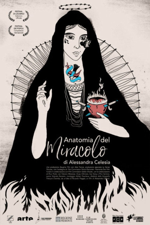 Movie poster for Anatomia del miracolo (2017)