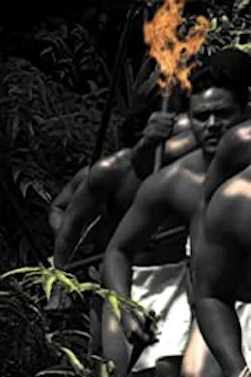 Movie poster for Ka'ililauokekoa (2000)