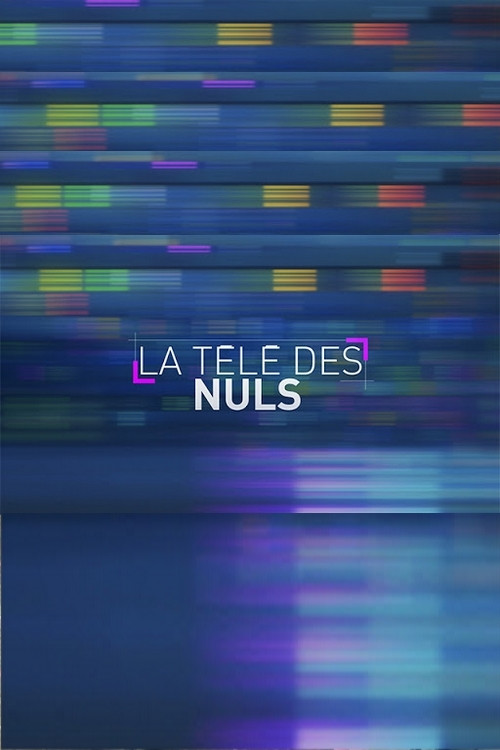 Movie poster for La télé des Nuls (2019)