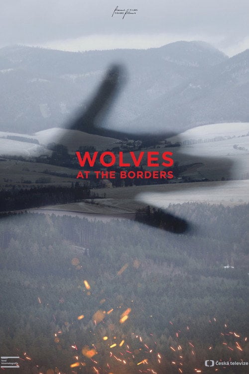 Movie poster for Wolves at the Borders (2021)