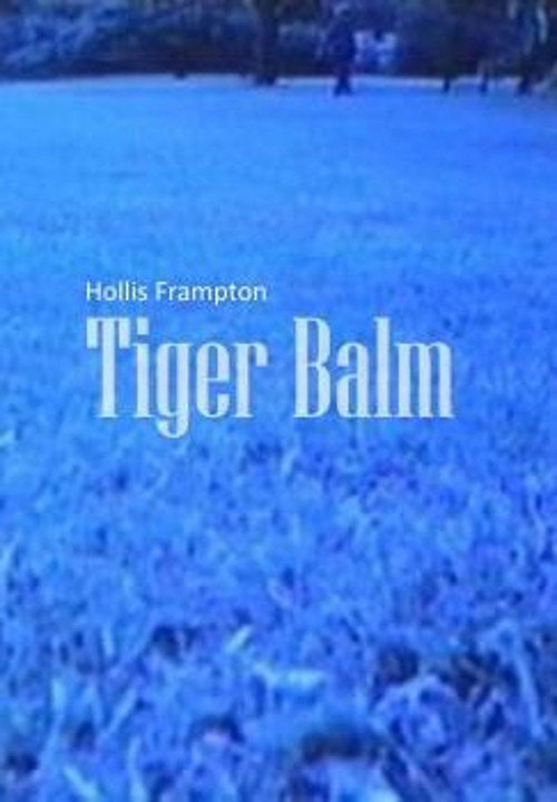 Movie poster for Tiger Balm (1972)