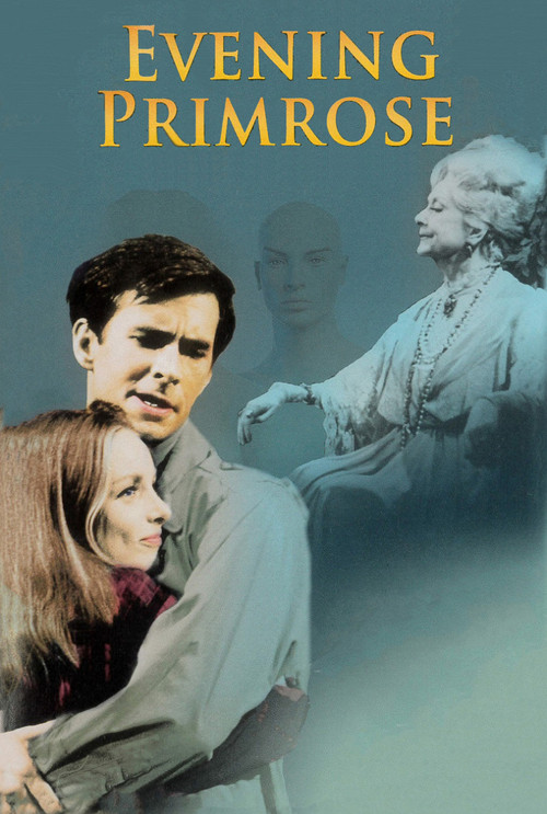 Movie poster for Evening Primrose (1966)