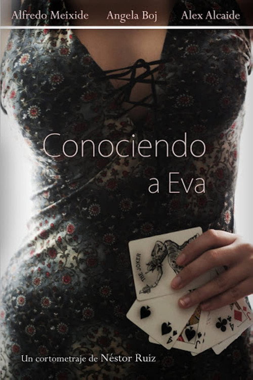 Movie poster for Conociendo a Eva (2010)