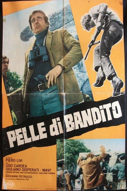 Movie poster for Bandit Skin (1969)