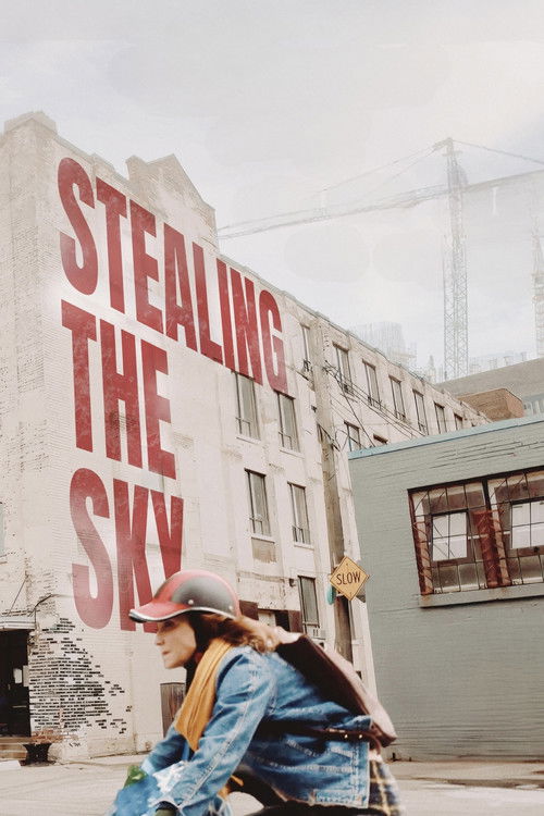 Movie poster for Stealing the Sky (2025)
