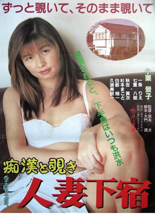 Movie poster for Chikan to nozoki: Hitozuma geshuku (1994)