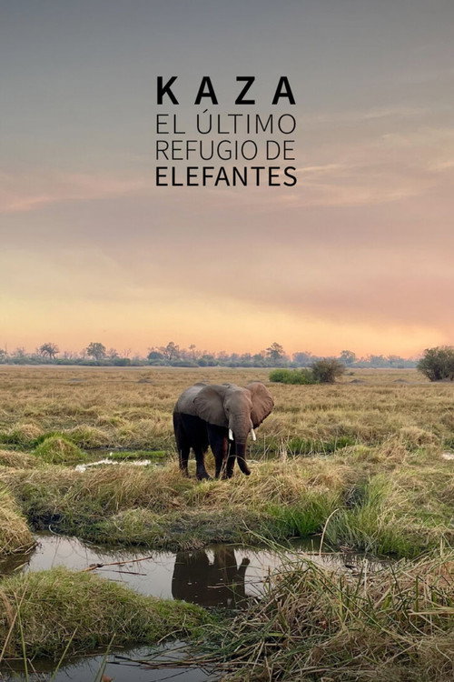 Movie poster for Kaza: The Last Refuge of Elephants (2025)