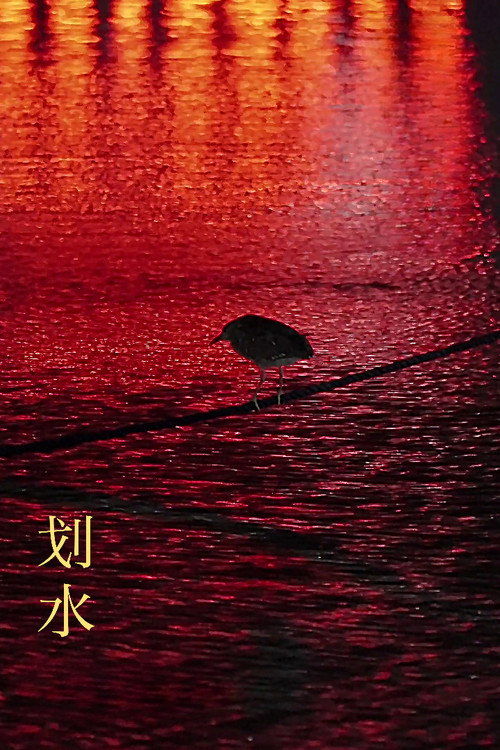 Movie poster for Rowing (2023)