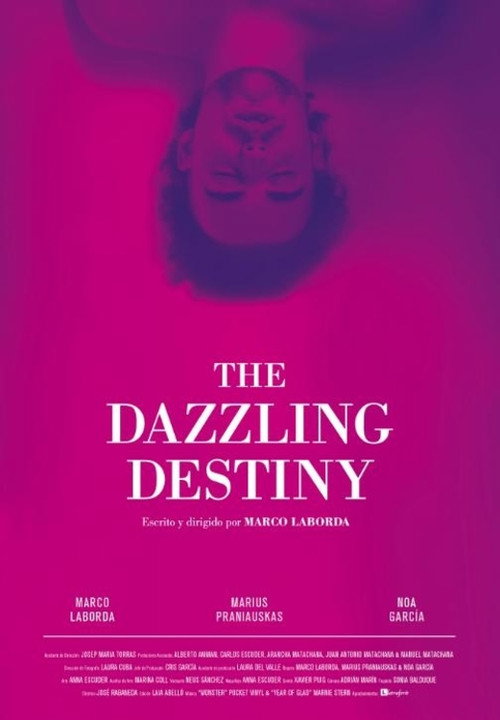 Movie poster for The Dazzling Destiny (2013)