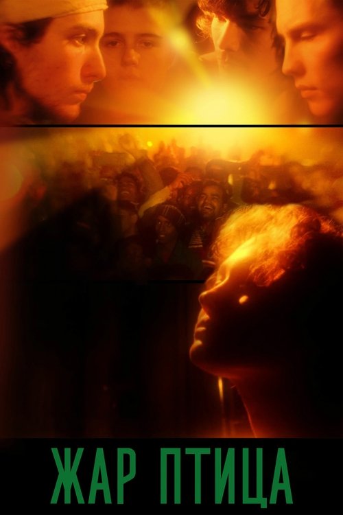 Movie poster for The Firebird (2025)