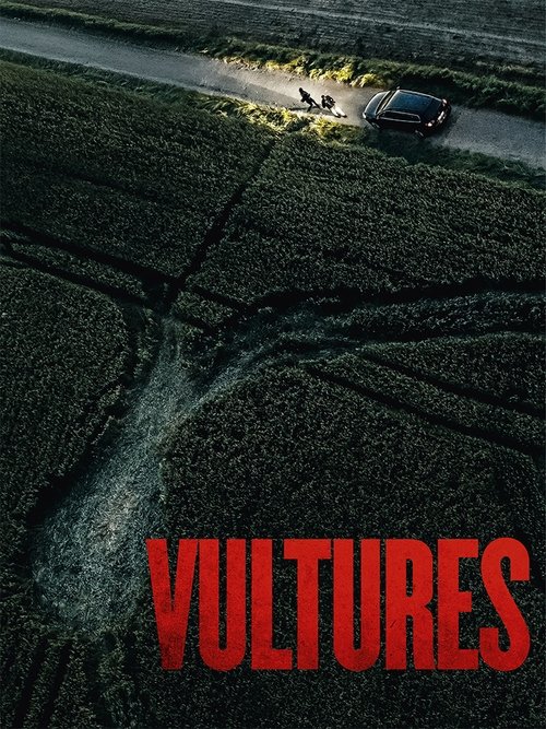 Movie poster for Vultures (2025)