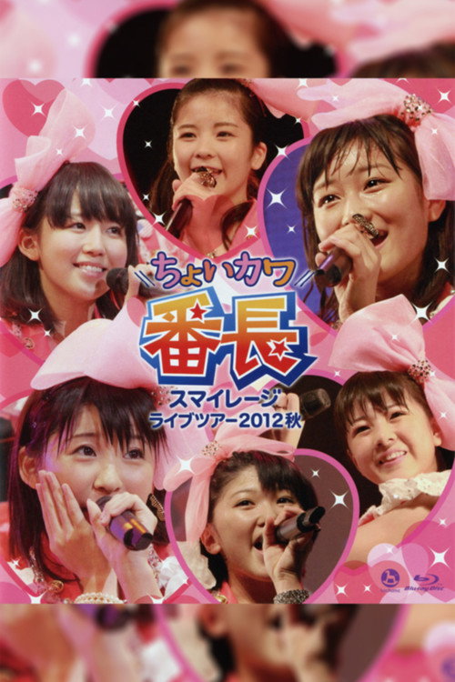 Movie poster for S/mileage 2012 Autumn ~Choi Kawa Banchou~ (2012)