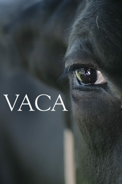 Movie poster for Vaca (2018)