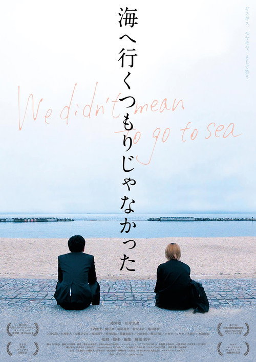 Movie poster for We Didn't Mean To Go To Sea (2017)