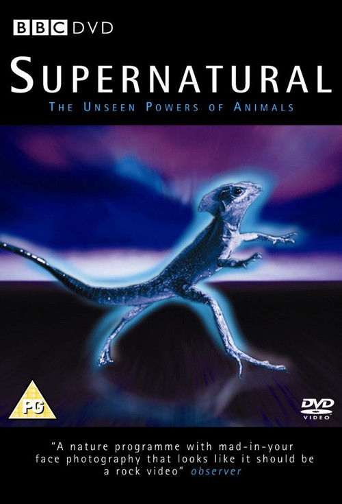 Supernatural: Unseen Power of Animals poster