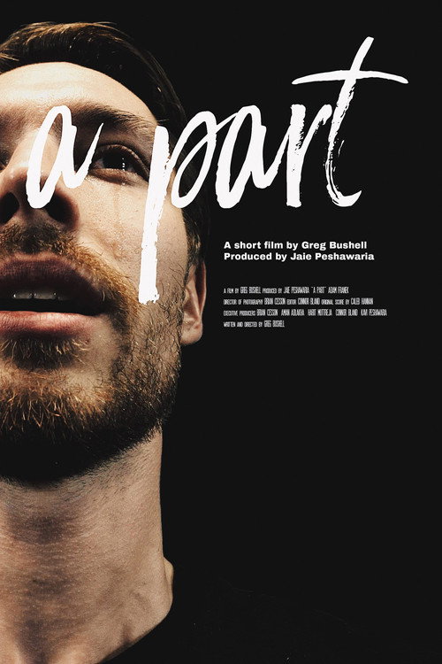 Movie poster for A Part (2017)