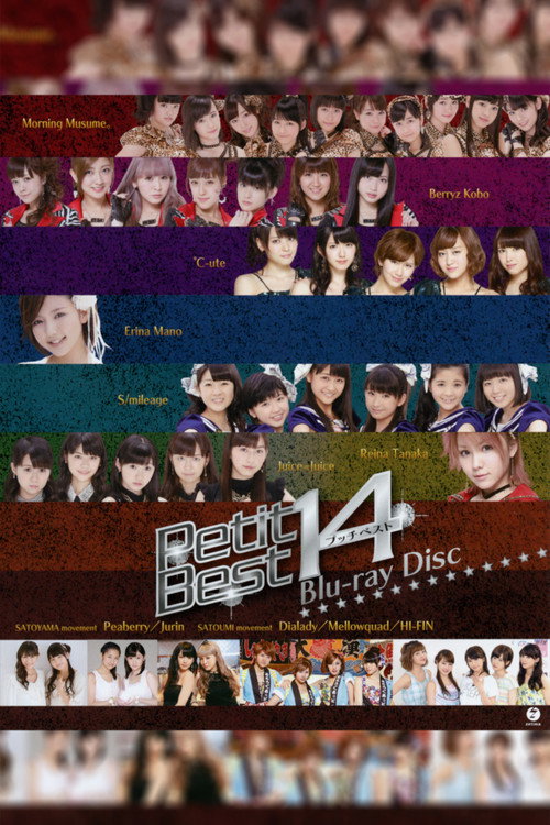 Movie poster for Petit Best 14 (2013)
