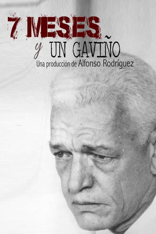 Movie poster for 7 meses y un Gaviño (2020)