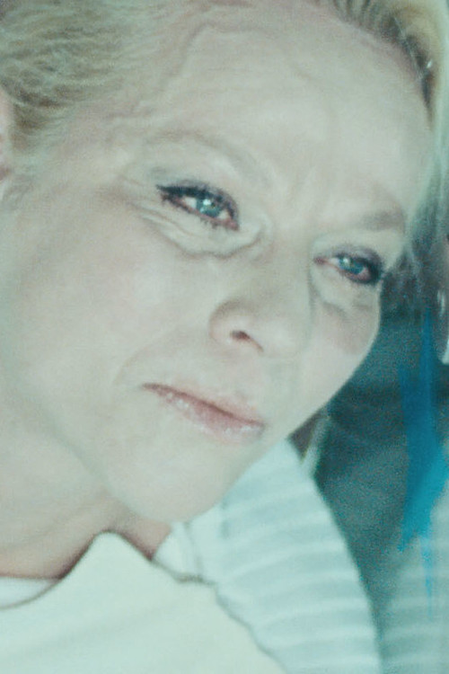 Movie poster for A Voyage in Dwelling (2008)