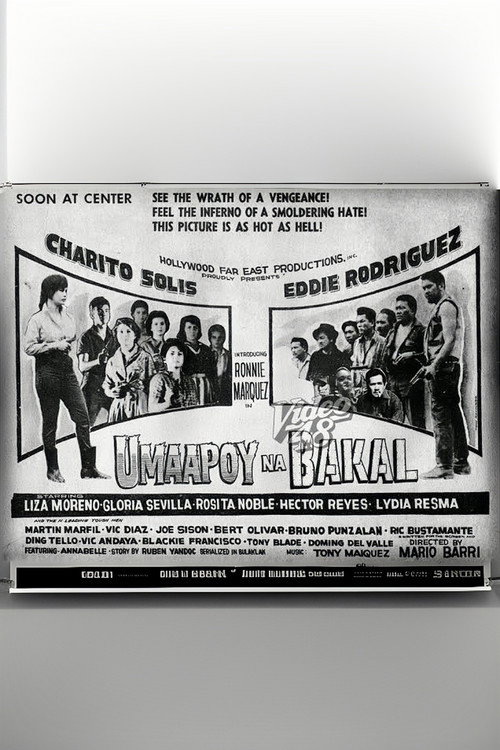 Movie poster for Umaapoy na Bakal (1962)