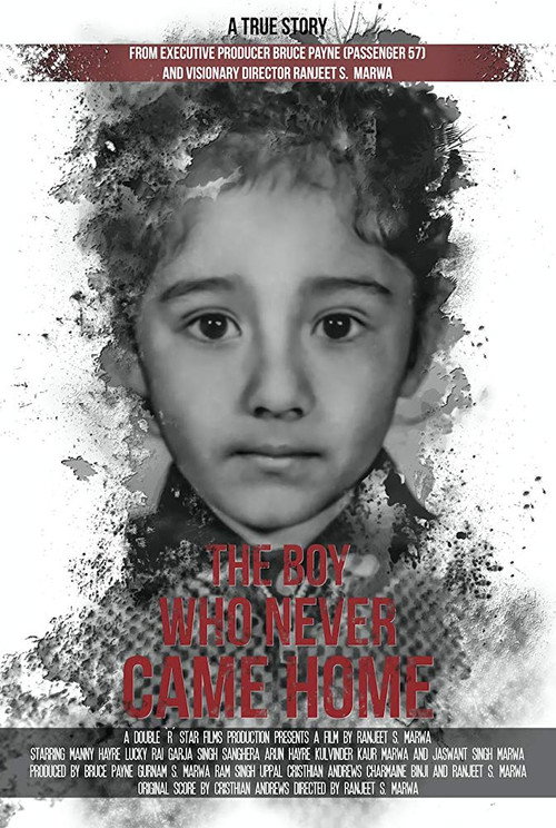 Movie poster for The Boy Who Never Came Home: A True Story (2018)