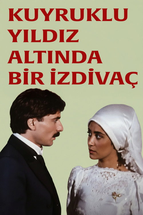 Movie poster for Kuyruklu Yıldız Altında Bir İzdivaç (1987)