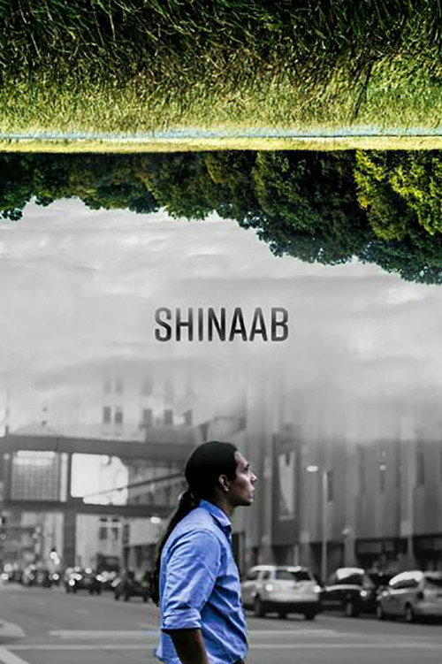 Movie poster for Shinaab (2017)