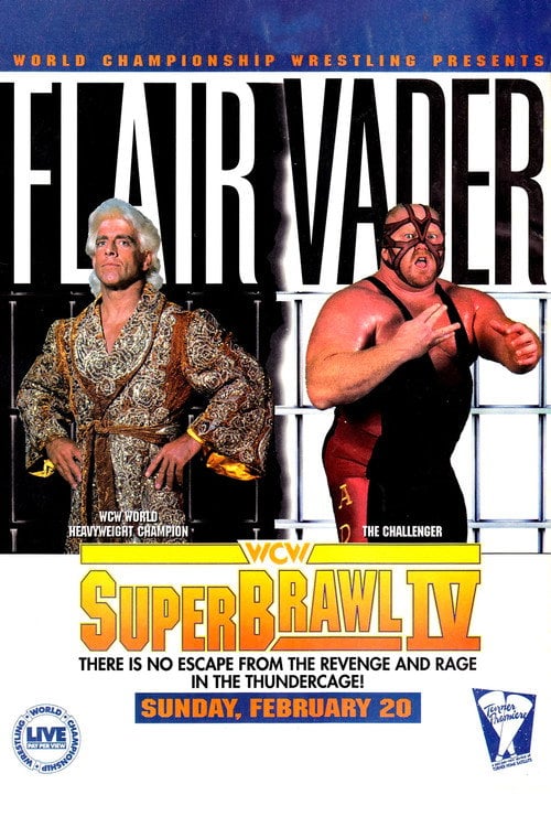 Movie poster for WCW SuperBrawl IV (1994)