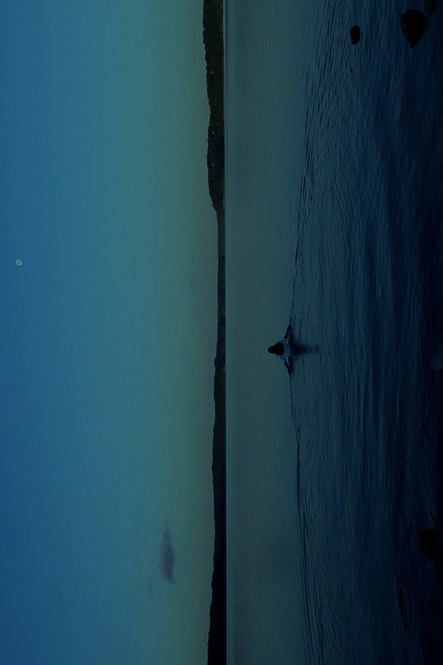 Movie poster for THE WATERS (2024)