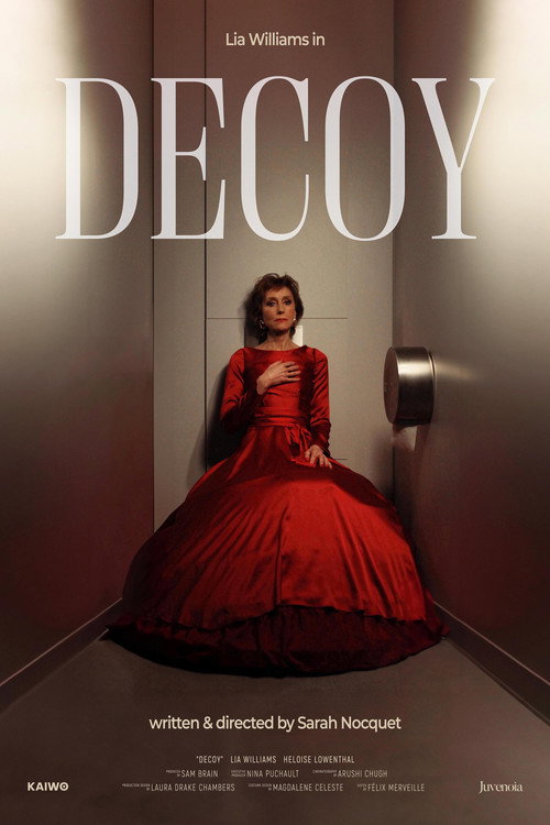 Movie poster for Decoy (2025)