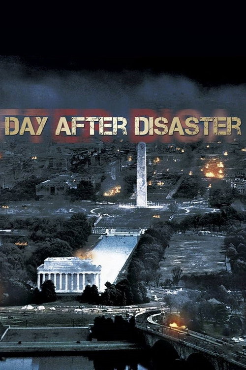Movie poster for Day After Disaster (2009)