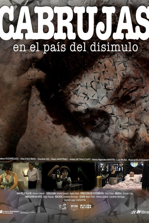 Movie poster for Cabrujas en el país del disimulo (2017)