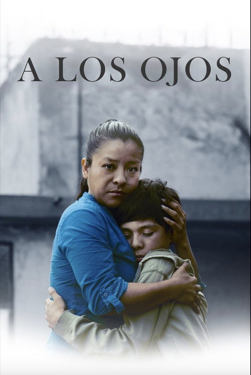 Movie poster for Through the Eyes (2013)