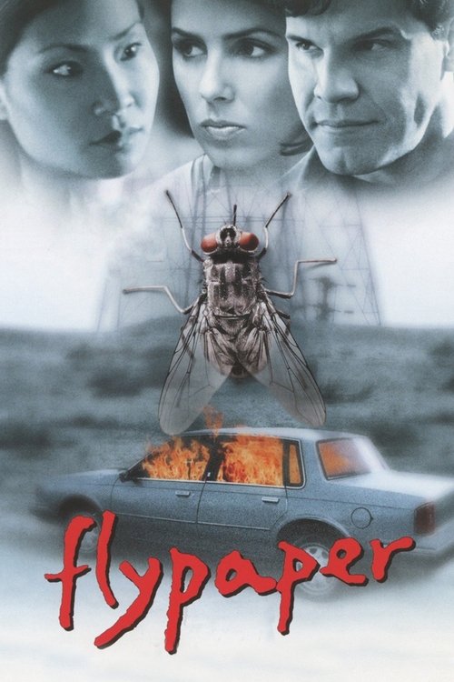 Movie poster for Flypaper (1999)