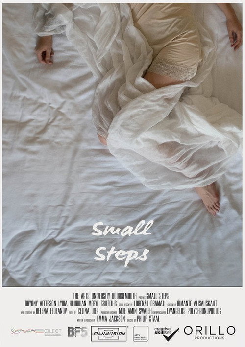 Movie poster for Small Steps (2016)