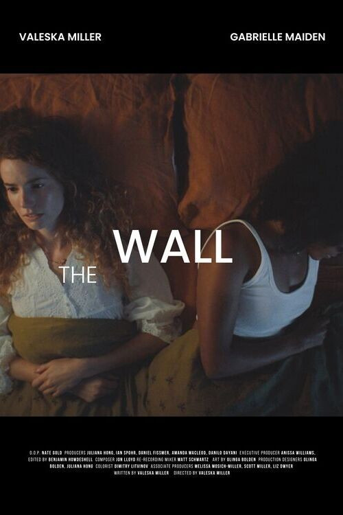 Movie poster for The Wall (2023)