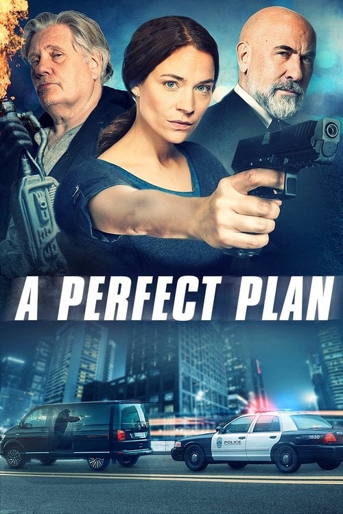 Movie poster for A Perfect Plan (2020)