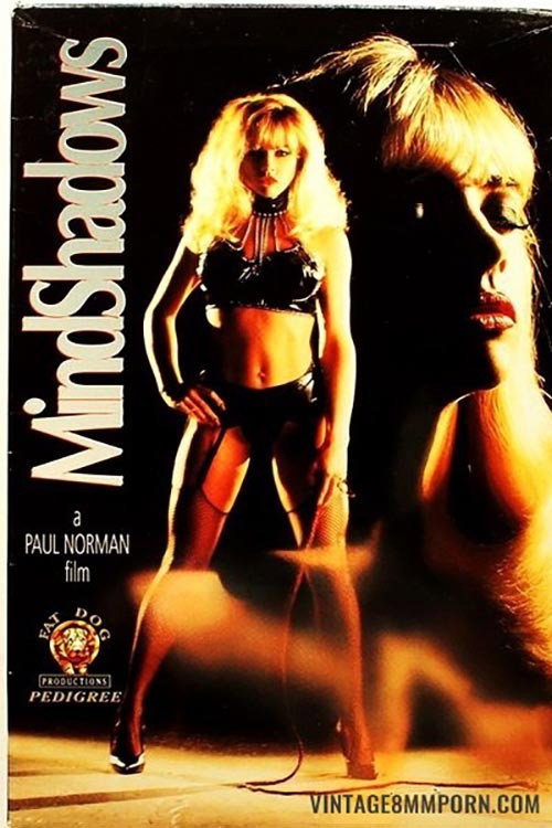 Movie poster for Mind Shadows (1993)