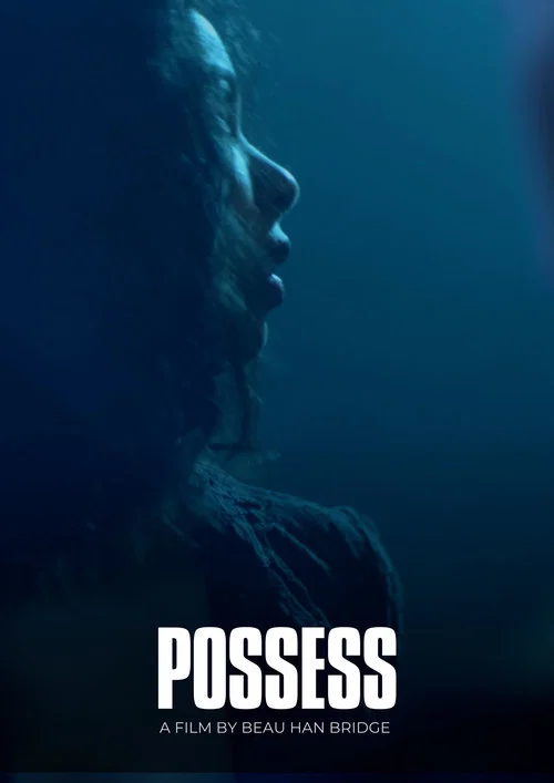Movie poster for Possess
