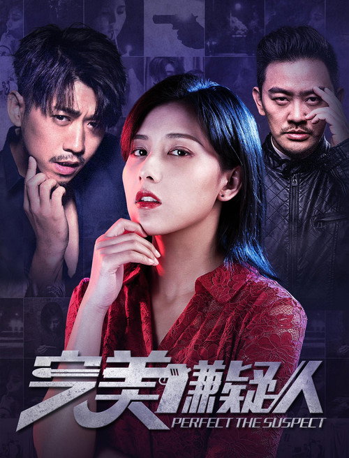 Movie poster for The Perfect Suspect (2019)