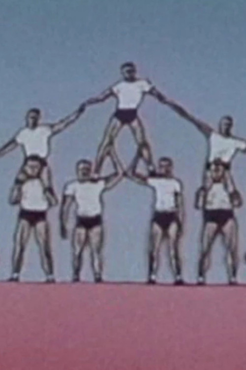 Movie poster for Shapes Of Movement (2002)