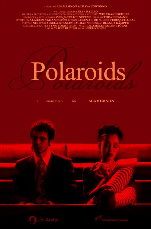 Movie poster for Polaroids
