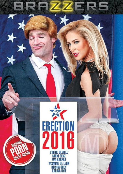 Movie poster for ZZ Erection 2016 (2017)