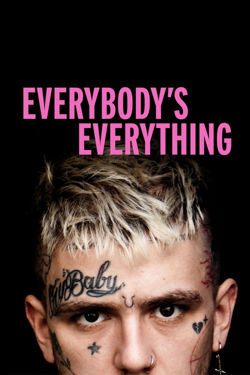 Movie poster for Everybody’s Everything (2019)