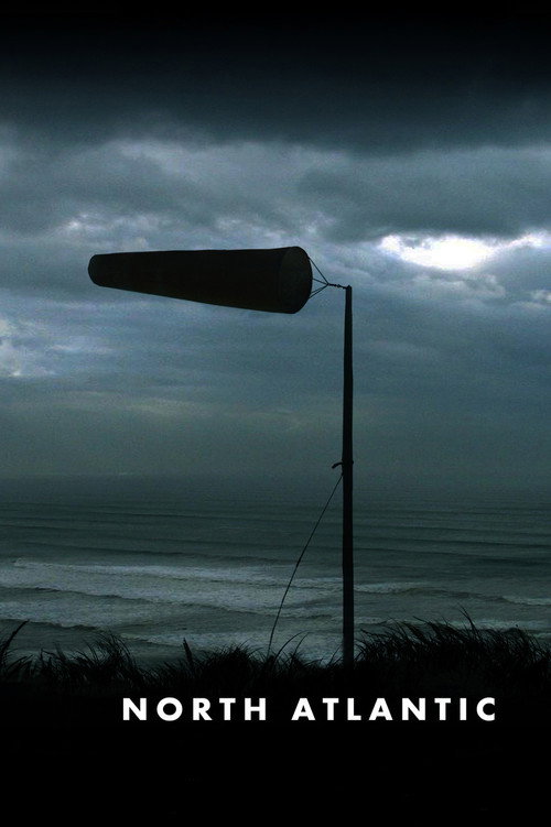 Movie poster for North Atlantic (2010)