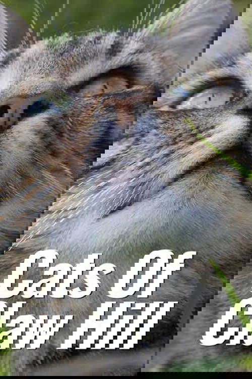 Cats of Claw Hill poster