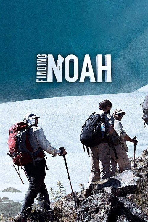 Movie poster for Finding Noah (2015)