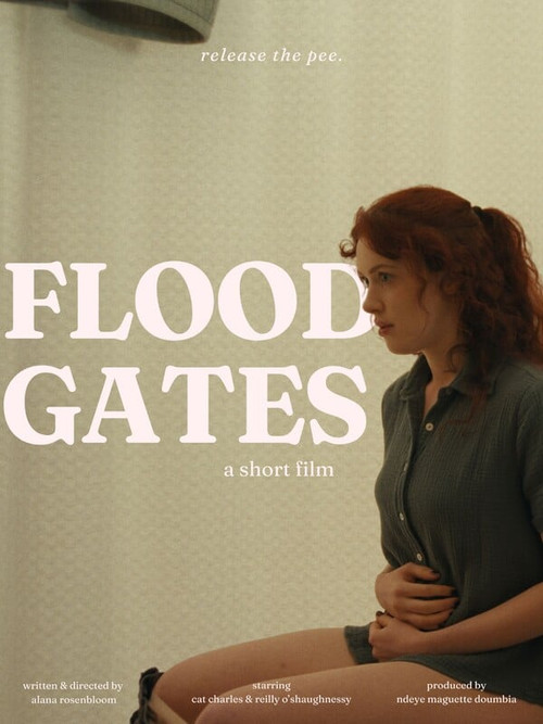Movie poster for Floodgates (2025)